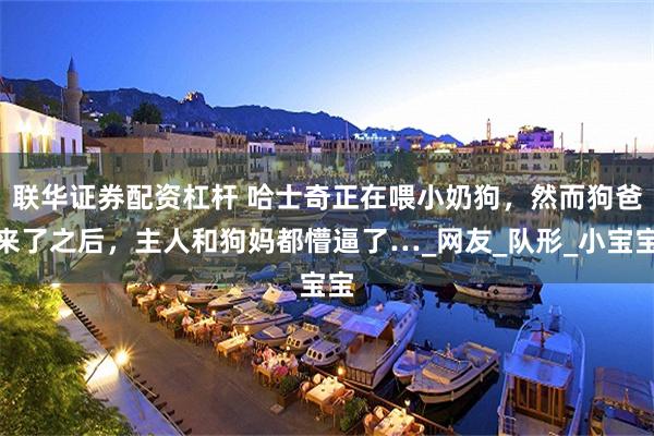 联华证券配资杠杆 哈士奇正在喂小奶狗，然而狗爸来了之后，主人和狗妈都懵逼了…_网友_队形_小宝宝