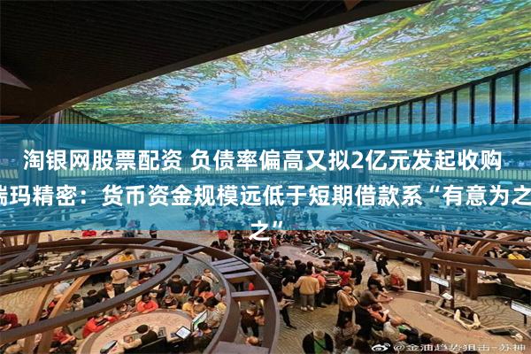 淘银网股票配资 负债率偏高又拟2亿元发起收购 瑞玛精密：货币资金规模远低于短期借款系“有意为之”