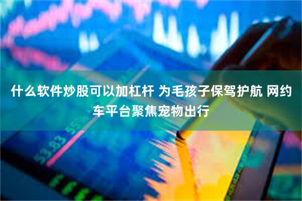 什么软件炒股可以加杠杆 为毛孩子保驾护航 网约车平台聚焦宠物出行