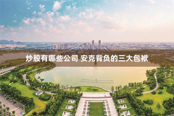 炒股有哪些公司 安克背负的三大包袱