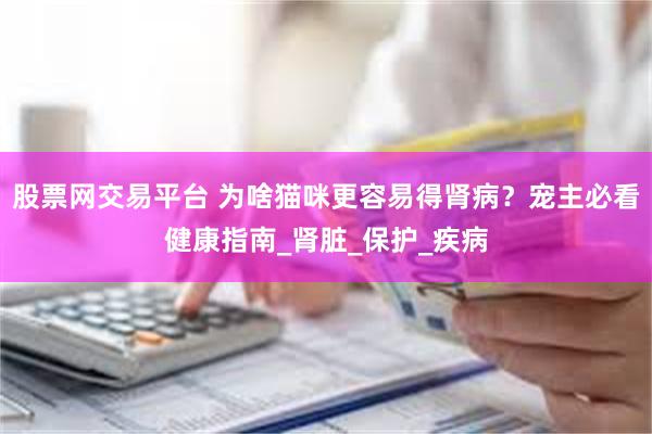 股票网交易平台 为啥猫咪更容易得肾病？宠主必看健康指南_肾脏_保护_疾病