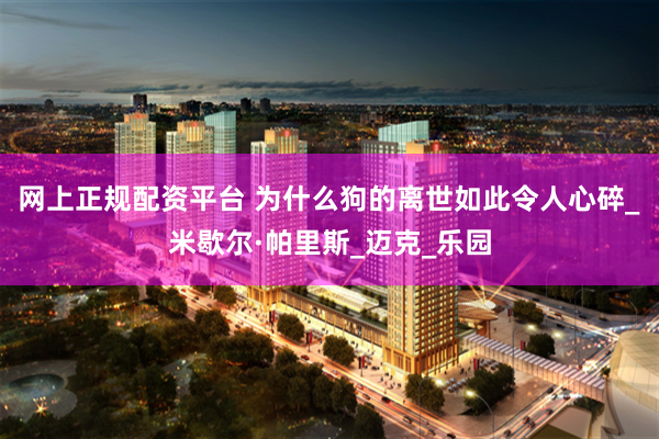 网上正规配资平台 为什么狗的离世如此令人心碎_米歇尔·帕里斯_迈克_乐园