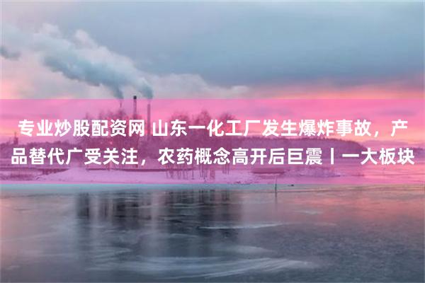 专业炒股配资网 山东一化工厂发生爆炸事故，产品替代广受关注，农药概念高开后巨震丨一大板块