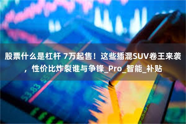 股票什么是杠杆 7万起售！这些插混SUV卷王来袭，性价比炸裂谁与争锋_Pro_智能_补贴